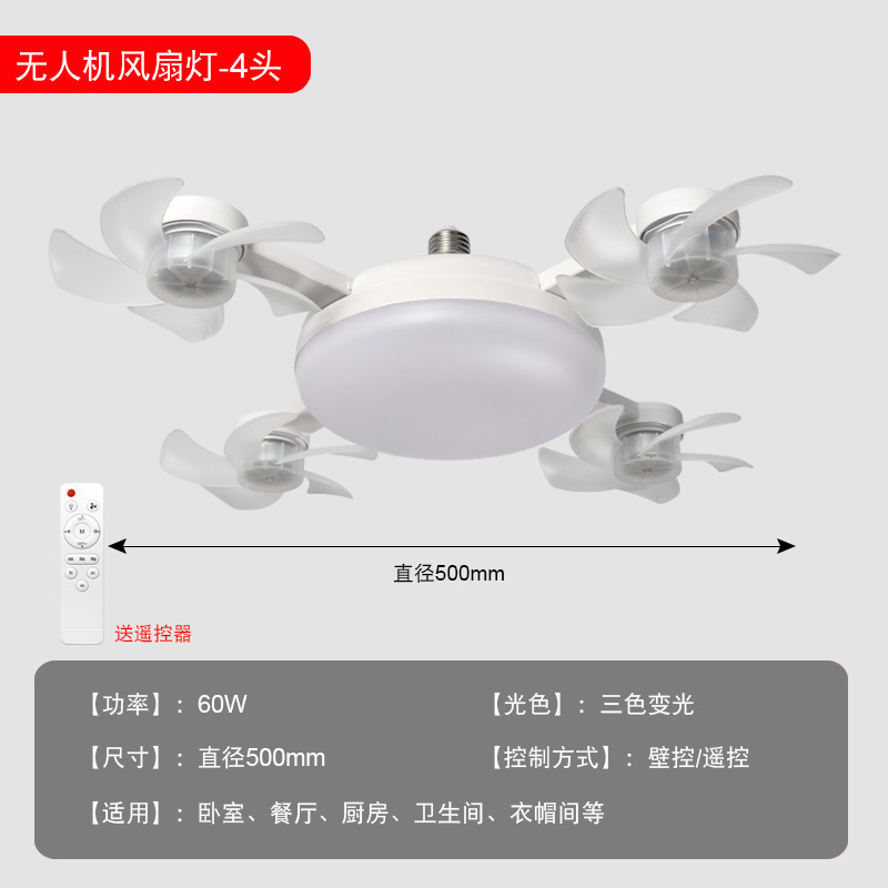 Electric Fan Light
